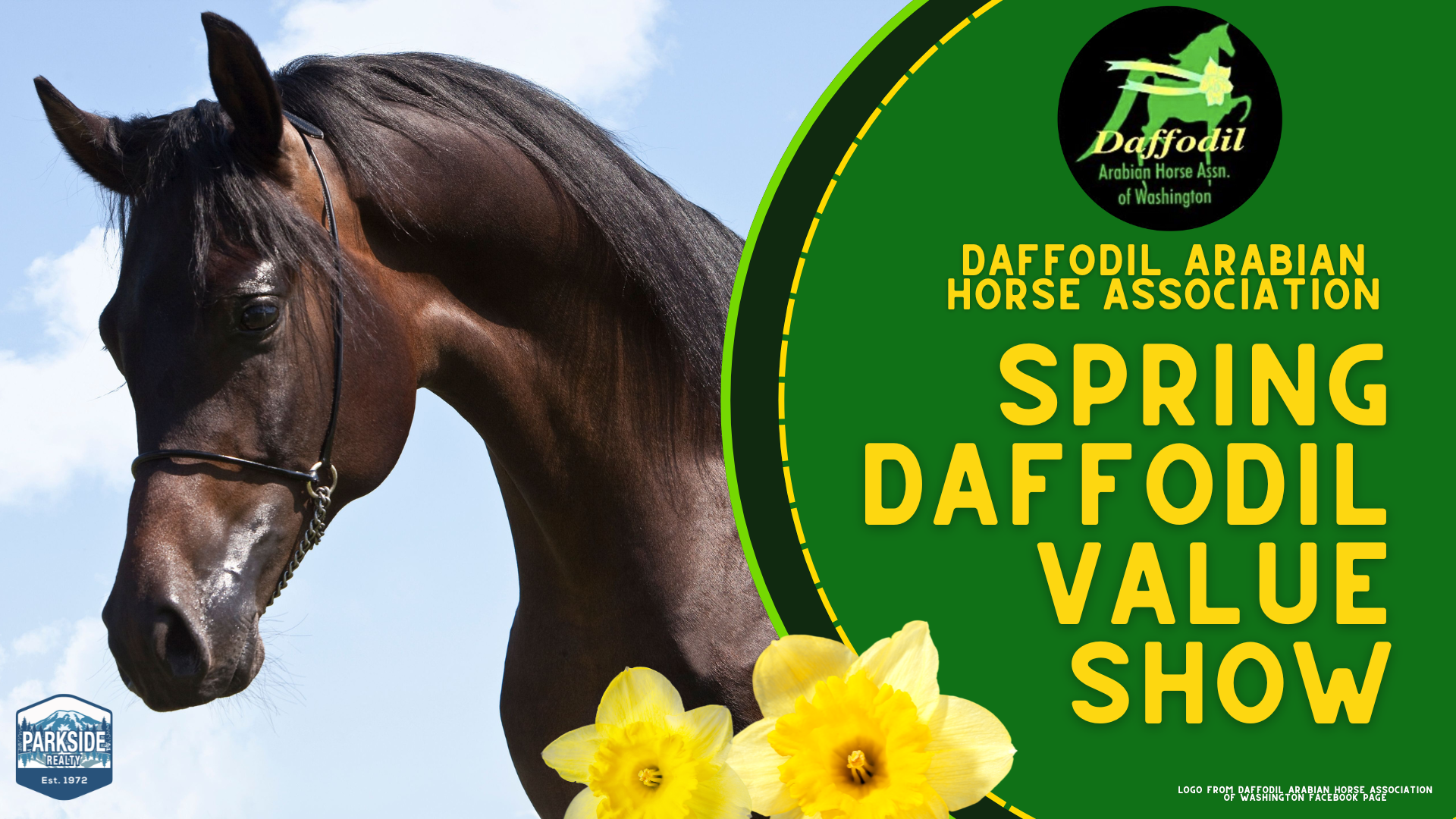 Daffodil Arabian Horse Association: Spring Daffodil Value Show